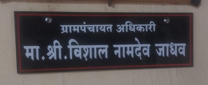 विर्डी ग्रामपंचायत विकास